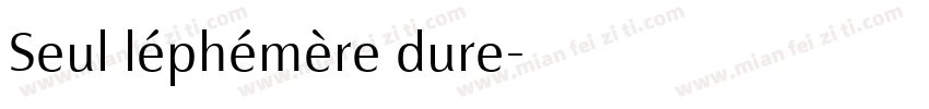Seul léphémère dure字体转换